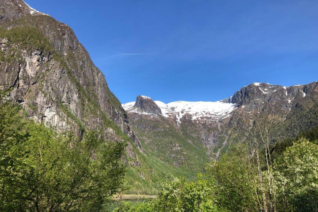 Balestrand Fjordapartments Holmen 19A Εξωτερικό φωτογραφία
